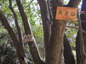天王山 270m