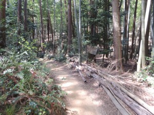 山道