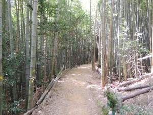山道