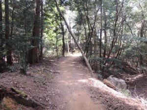 山道