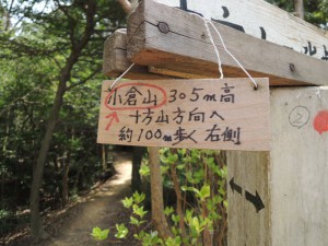 案内