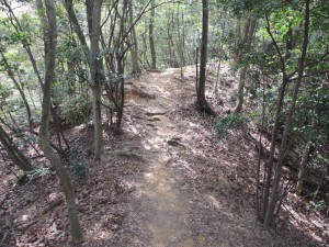 山道