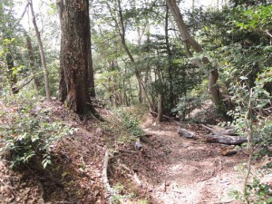 山道