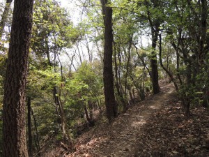 山道