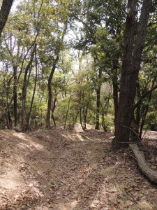 山道