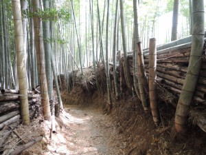 竹林の道