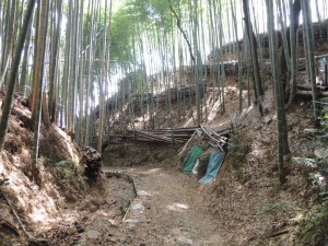 竹林の道