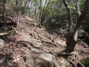 登り