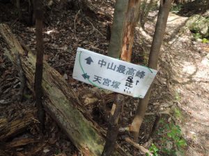 道標