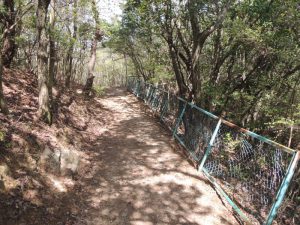 山道