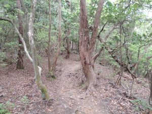 山道