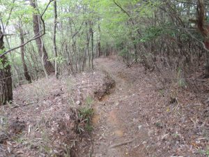 山道