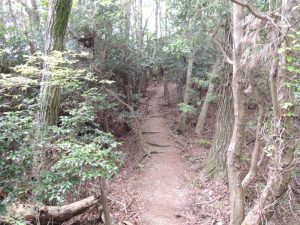 山道