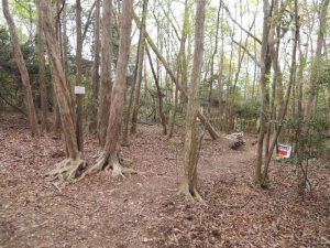 山頂広場