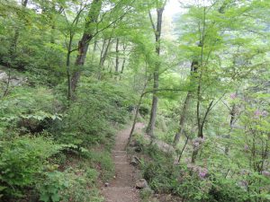 山道