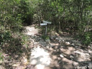 登山道