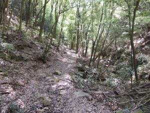 山道