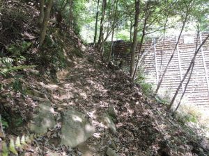 堰堤越え