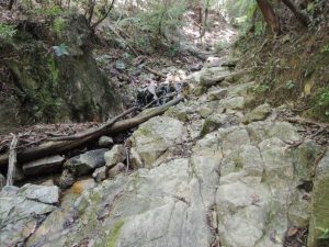 岩場