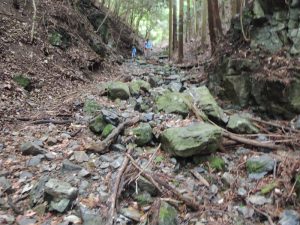 山道