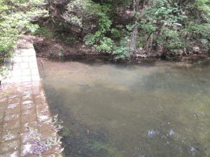 堰堤の水