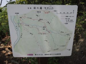 桜の園標識