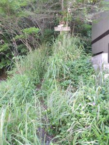 豆崎登山口