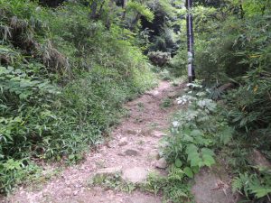 山道