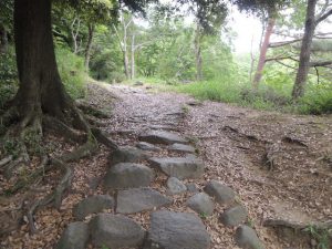 石舗装の道