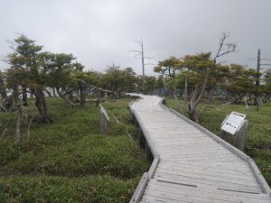 木道