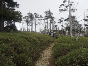 山道