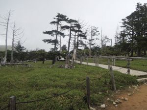 正木ヶ原　風景