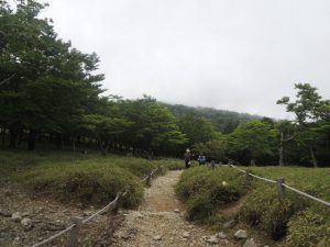 山道