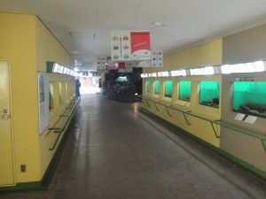 オオサンショウオ展示