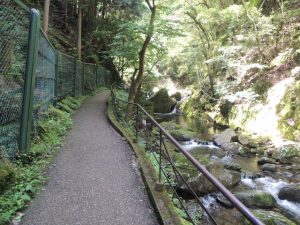 通路