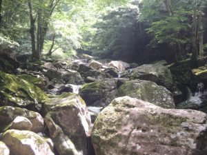 大岩