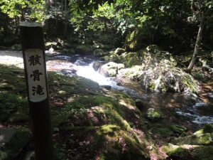 骸骨滝