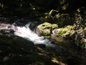骸骨滝