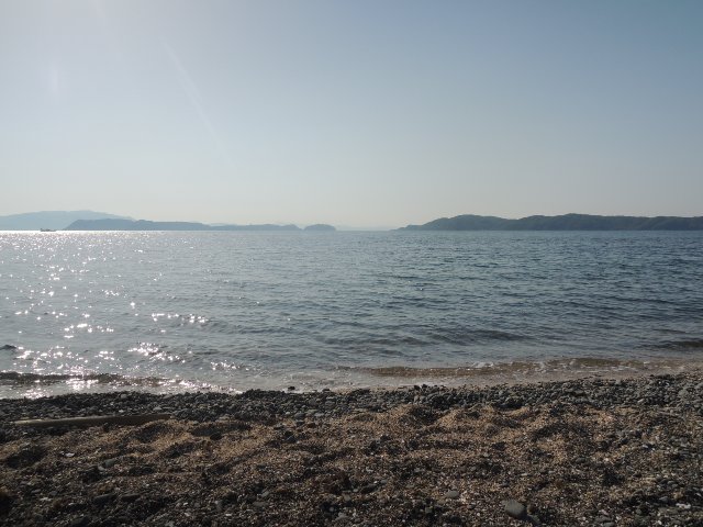 海岸