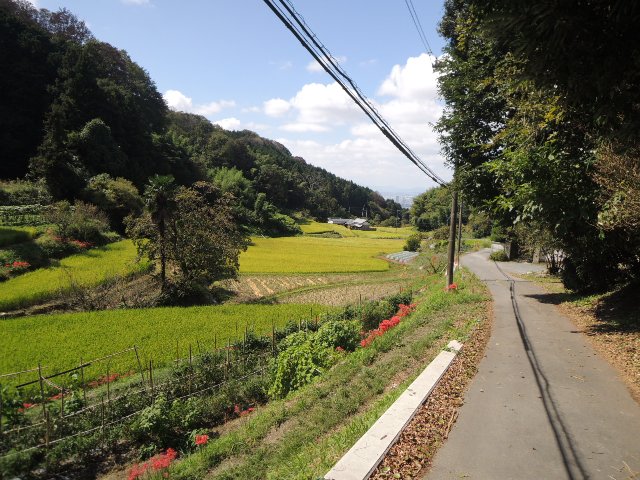 田園風景
