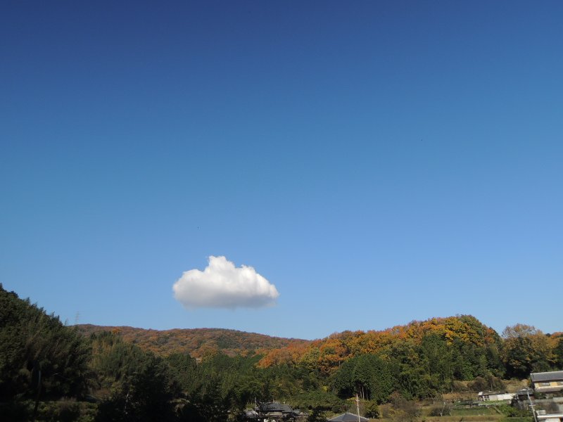雲