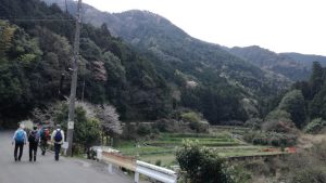 山