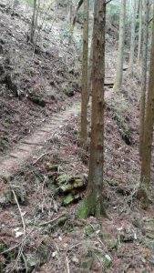登山道