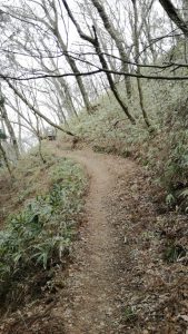 山道