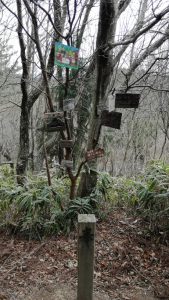 山頂