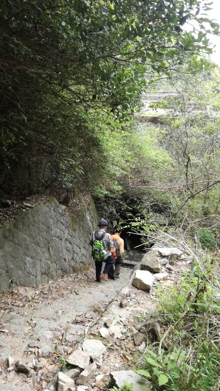 トンネル トンネル