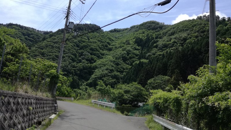 道 道