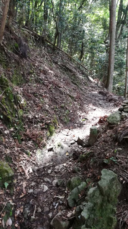 山道 山道