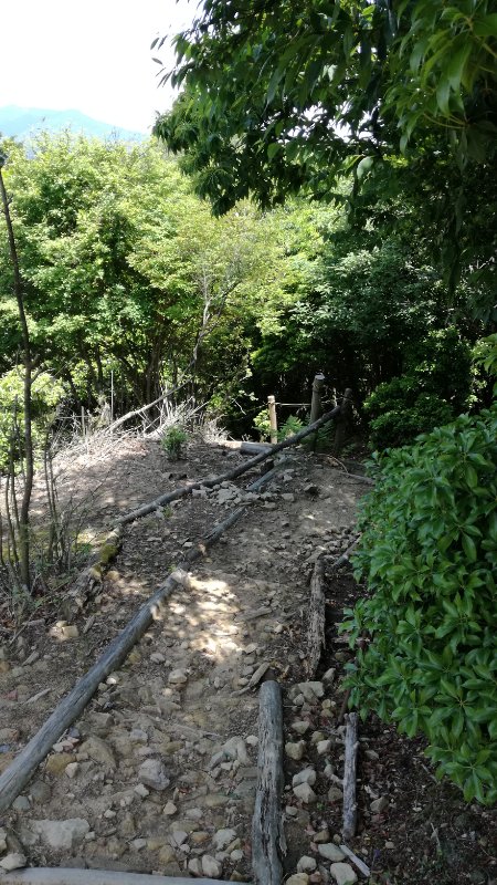 山道 山道