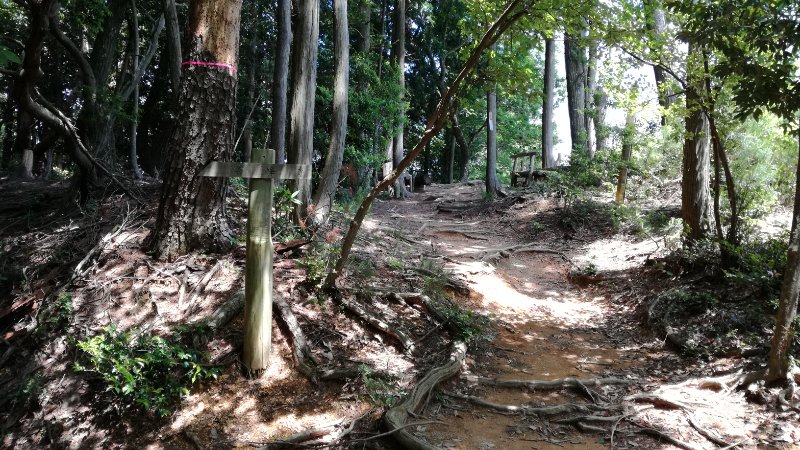 山道 山道